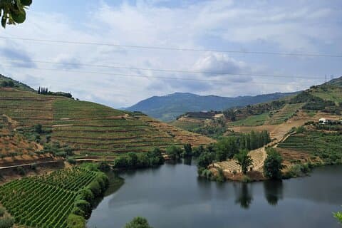 Vale do Douro: Excursão Privada Premium (All Inclusive)