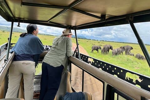 Tagestour zum Amboseli Nationalpark mit Parkeintrittsgeldern