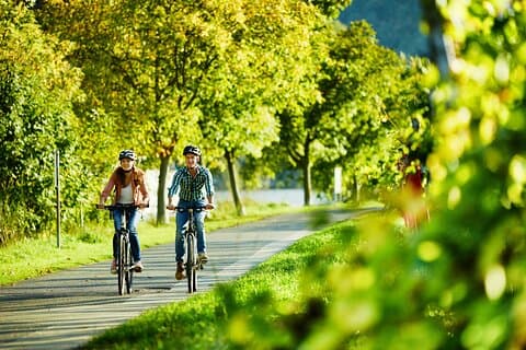 Bicycle Picnic Boat Tour from to Bernkastel Kues Private Tour
