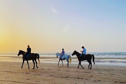 Horse riding on muscat beach