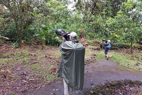 Arenal Halbtags Vogel- und Fotografie