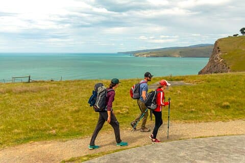 Explore Godley Head, Lyttelton & Christchurch (Small Group Tour)