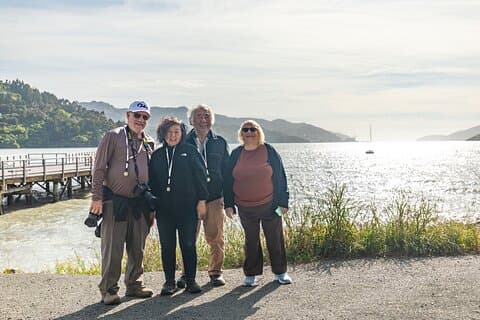 Akaroa & Banks Peninsula von Lyttelton (Private Landausflug)
