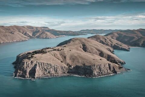 Halve dag Godley Head Scenic Drive & begeleide wandeling (excursie aan wal)