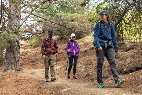 Godley Head & Lyttelton Scenic Drive & Guided Walk (Private Tour)