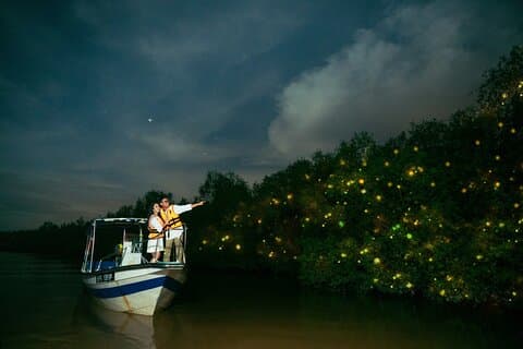 Lucioles et visite nocturne bioluminescente avec délice aux fruits de mer