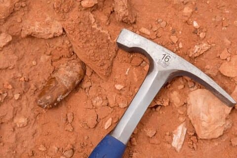 Sahara Desert Fossil jaktupplevelse