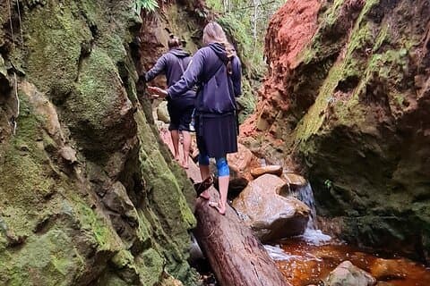 Explore the wild side of Kirstenbosch Gardens
