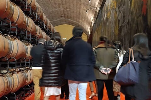 Rioja: Visit 3 Wineries and Enjoy Pintxos for Lunch