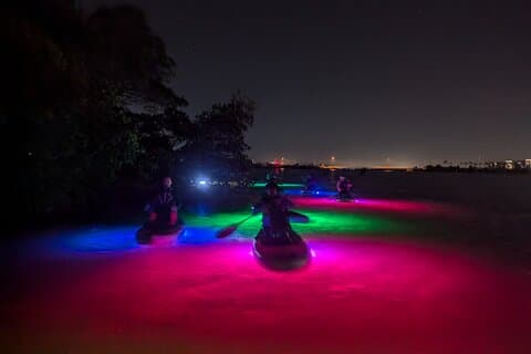 Gelée de peigne bioluminescent et kayak LED / planche à pagaie Excursion