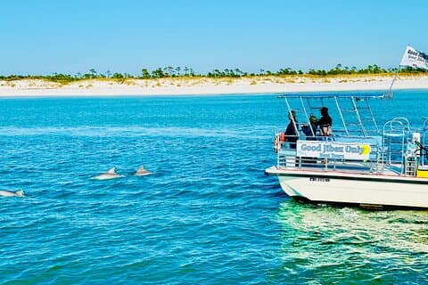 Shell Island Dolphin Sightseeing Boat Tour in Panama City Beach