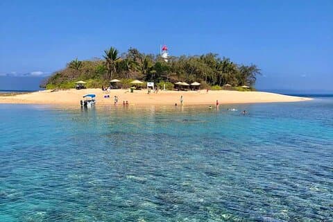 Half Day Low Island and Lagoon Snorkeling from Port Douglas