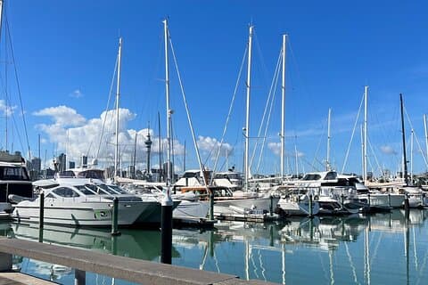 Tour privato della città di Auckland con spettacolare vista sul porto