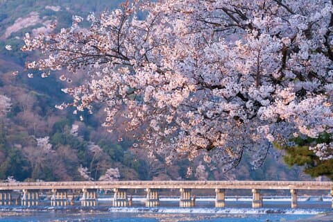Kyoto Arashiyama Een tour langs heilige tempels en verborgen heiligdommen