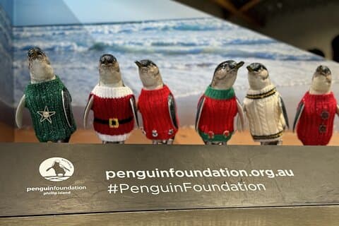 Melbourne: Private Phillip Island Penguin Parade & Wildlife Tours