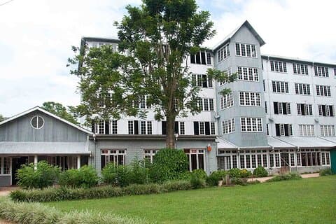 From Colombo: Kandy and Tea Plantations Day Trip