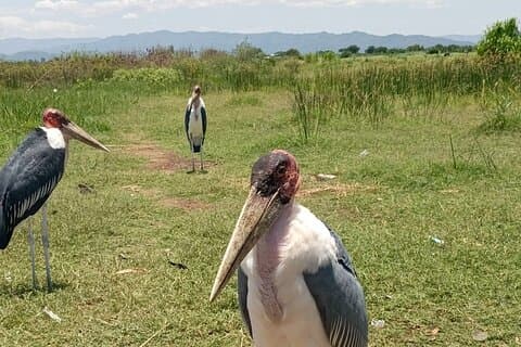 3 Day Arba Minch Hidden Gems Tour