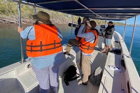 Birding By Sea and Land 5hr. La Paz Mexico
