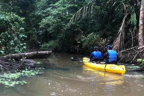 Kayak Tour en Parque Nacional Tortuguero