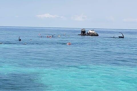 Roatan Drift Snorkeling Scimmia Sloth con Private Island Beach Break