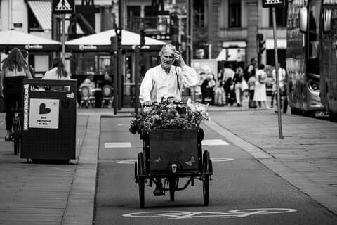 Copenhagen & Christiania: 4-hour bike tour in French