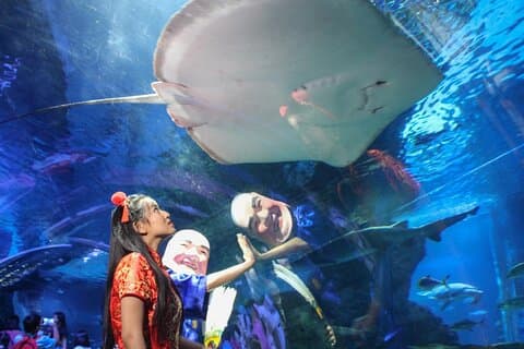 Entrada Dúo SEA LIFE y Madame Tussauds en Bangkok