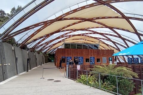 Visite d'une journée complète de la grotte de Waitomo et du village de Hobbiton