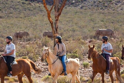 Safari à cheval avec transferts aller-retour, repas et boissons