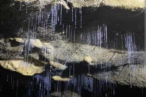 Hoteller i nærheden af Waitomo Glowworm Caves and Ruakuri Cave