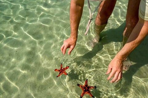 PRIVADO Descubre Phu Quoc Vida local y estrellas de mar Playa y almuerzo