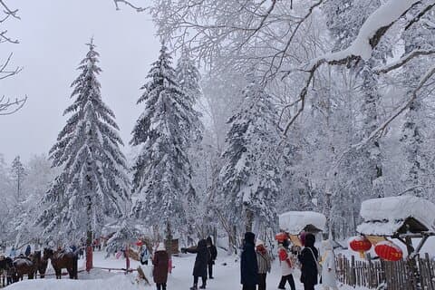 1 dag privat tur til Kina Snow Village