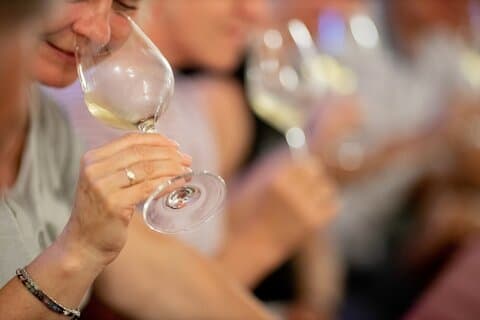 Visit and Private Tasting of EVO Oil and Organic Wine