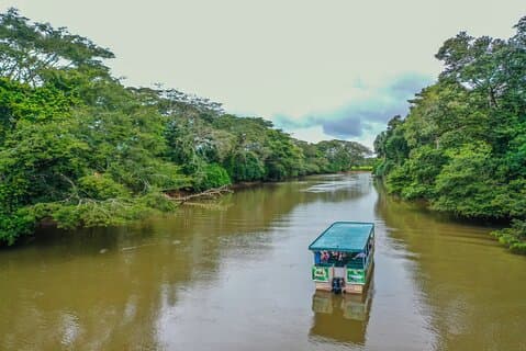 Full-Day Caño Negro Wildlife Refuge Boat Tour