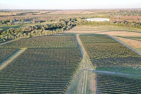 Wine Tour to Colonia Caroya, Cordoba - Half Day