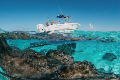 Cayman Islands 5‑Hour Custom Private Charter with Reef Fishing