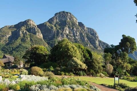 Kirstenbosch botaniske hager og vinsmaking i Constantia