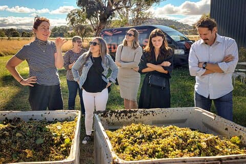 Sydney Grains and Grapes Hunter Valley Wine and Beer with Lunch