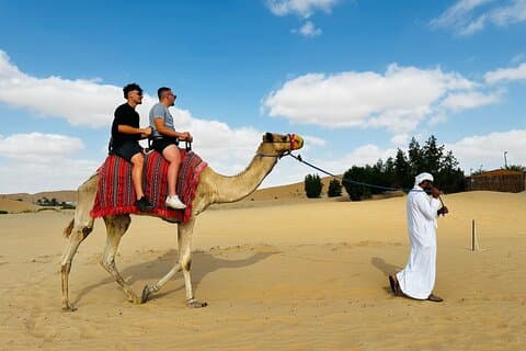 Abu Dhabi: Private Camel Trekking opplevelse
