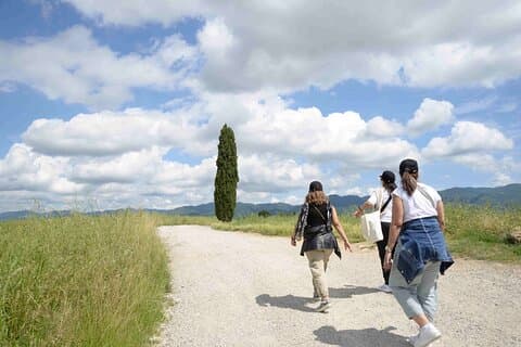 Escursioni & tour del vino