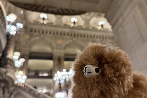 Visite guidée privée exclusive Opéra Garnier
