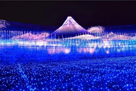 Nagoya Nagashima Outlet Mall & Nabana no Sato Park Tour di un giorno