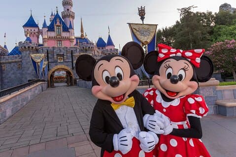 Disney e Universal Private Luxury Transfer