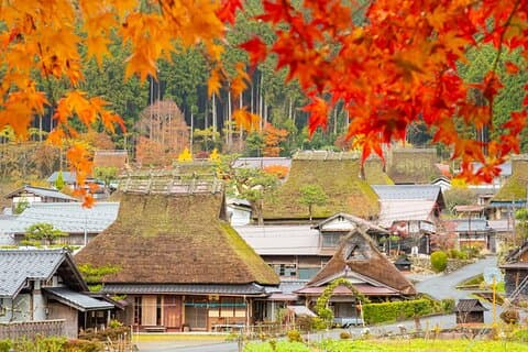 Kyoto Ine Bay, Amanohashidate en Miyama Village Tour vanuit Osaka