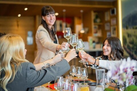 Valdobbiadene (Treviso): Prosecco Tasting Experience