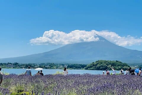 1 Day short excursion to Mt Fuji with a private van