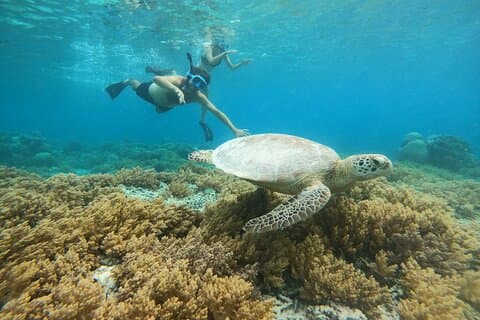 Snorkling trip 3 gili(terawangan, meno,air)