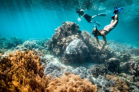 All Inclusive Bali Blue Lagoon og Tanjung Jepun Snorkeling