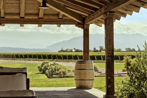 Vino Voyage Niagara vinlandsbusstur