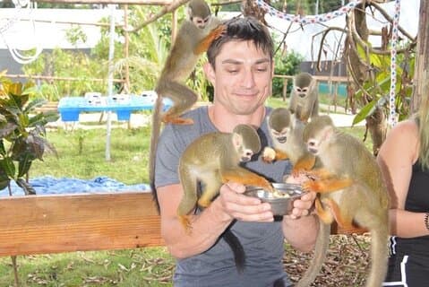 Visite de la ville de Puerto Plata avec des singes