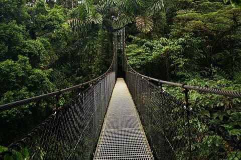Arenal Tour Including Hanging Bridges Volcano Hike and Waterfall